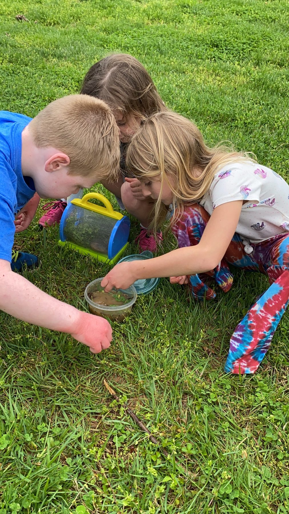 Campers on a nature bug hunt