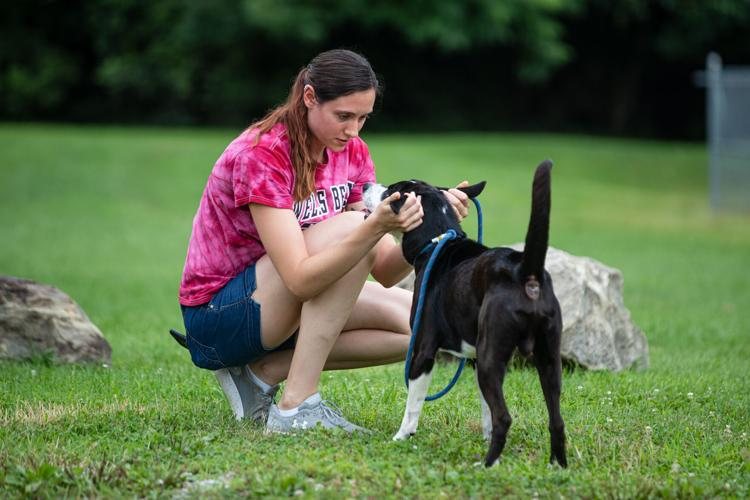 Happy Visits Shelter Program