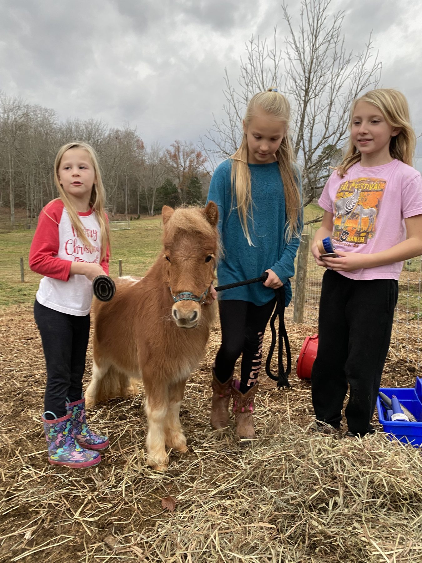Campers with a miniature horse