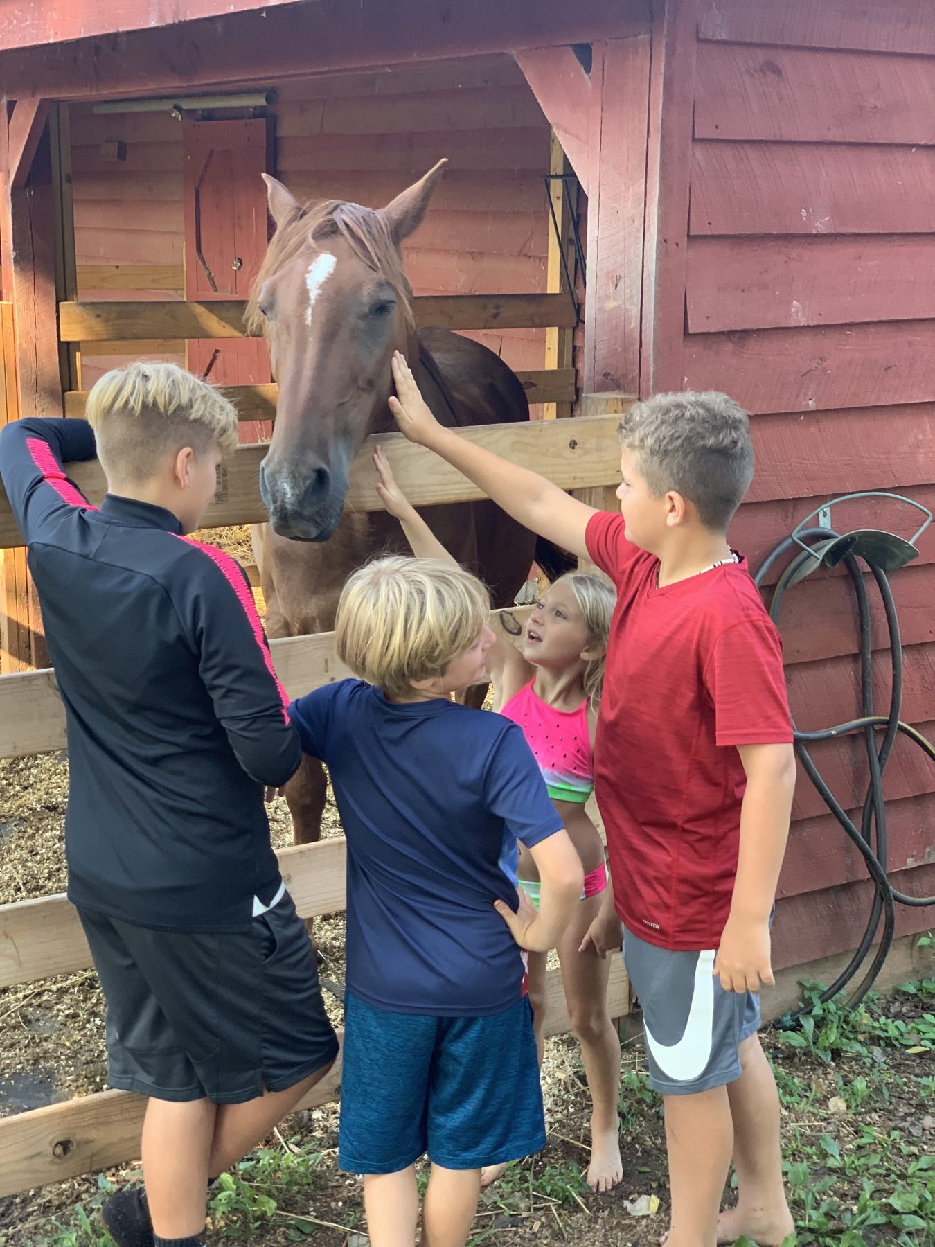 Campers petting a horse at the barn